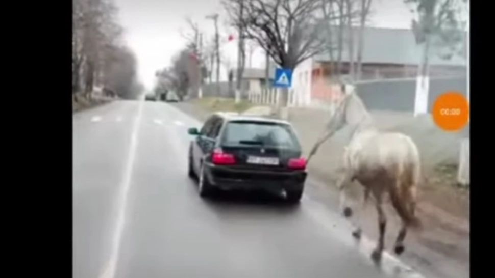 Cal/ Captură video Facebook Radar Botosani