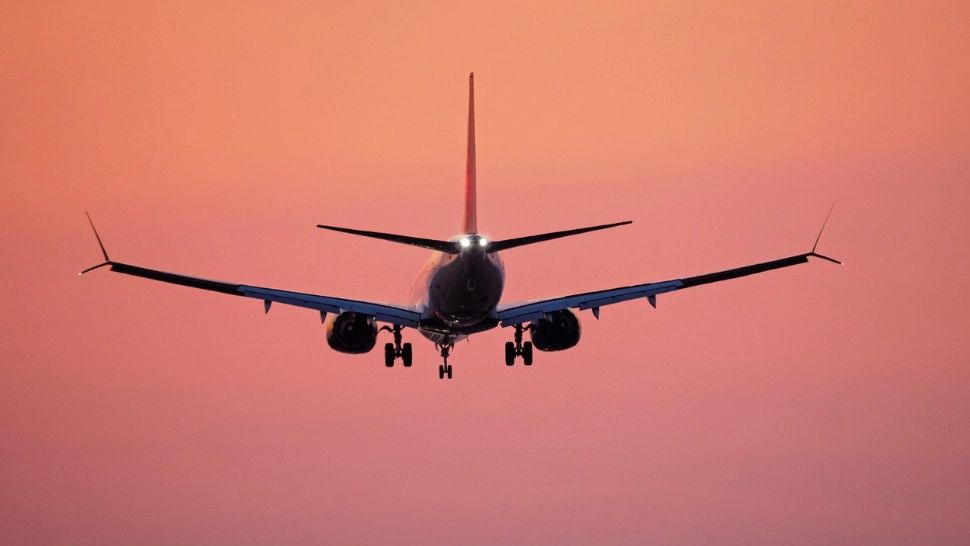 Avion / Foto: Profi Media