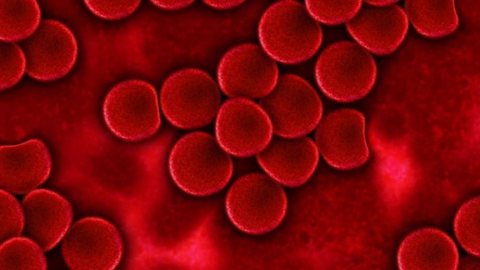 Alimentele care curata vasele de sange