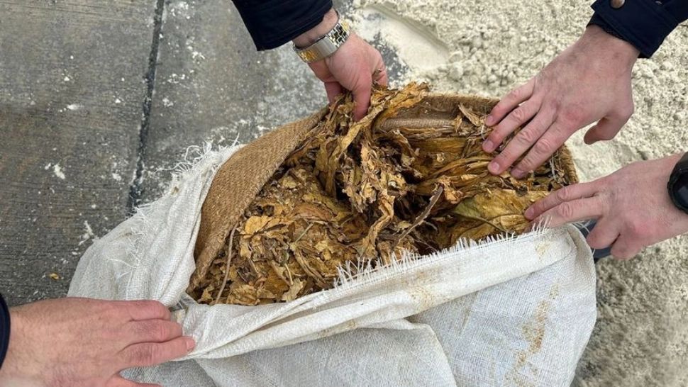 Sursa foto: Poliția de Frontieră