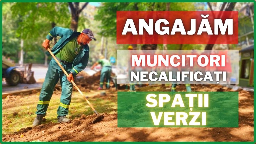 Totul Verde S.A. face angajări