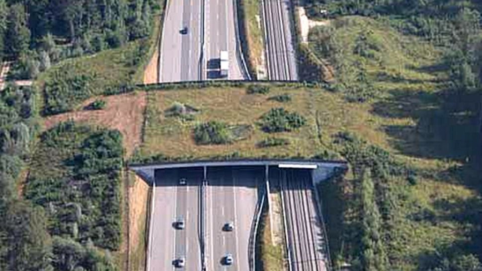 Pod peste autostrada