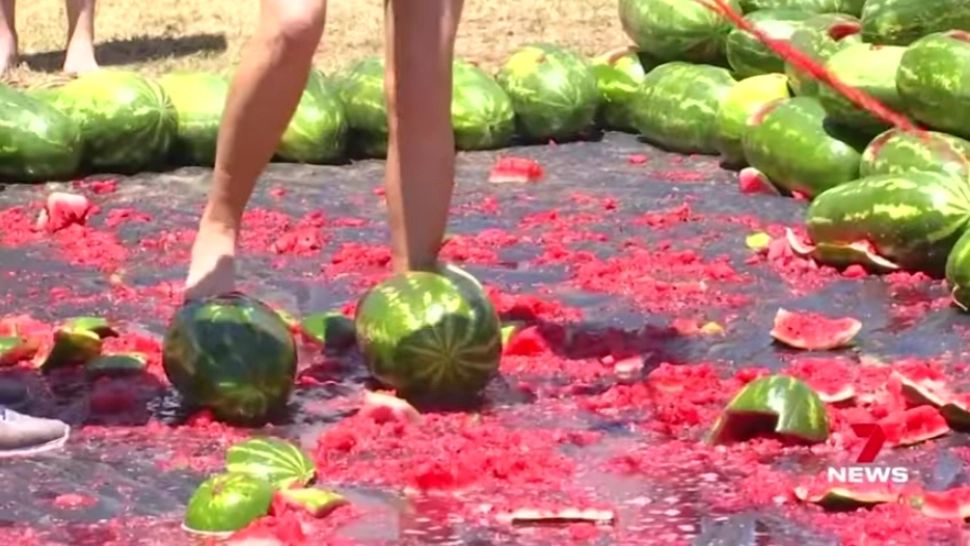 Schiatul în pepeni, activitatea preferată a australienilor la festival. Foto: Captură YouTube