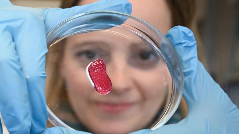 Carnea SINTETICĂ, tot mai aproape de farfuriile europenilor. Anunț crucial al unui oficial UE