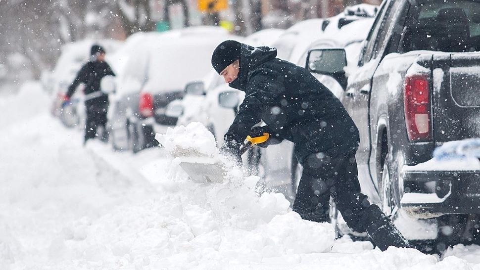 Ninsori abundente Foto: Profi Media