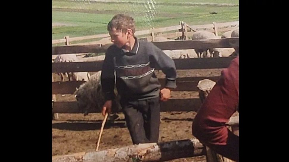 Decizie bombă în unicul dosar de SCLAVIE extremă anchetat vreodată în România. Un băiat de 10 ani s-a sinucis