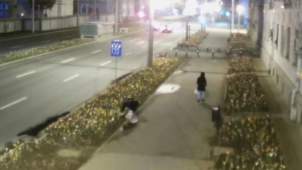 Foto: FB Primăria Sectorului 6