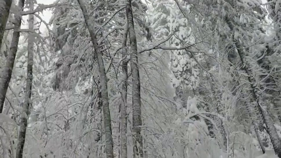 Parcul national Bucegi. Foto: Facebook/Romsilva