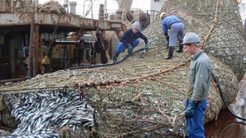 Pescarii au tras sperietura vieţii. Incredibil se au putut găsi în plasă, printre peşti - FOTO