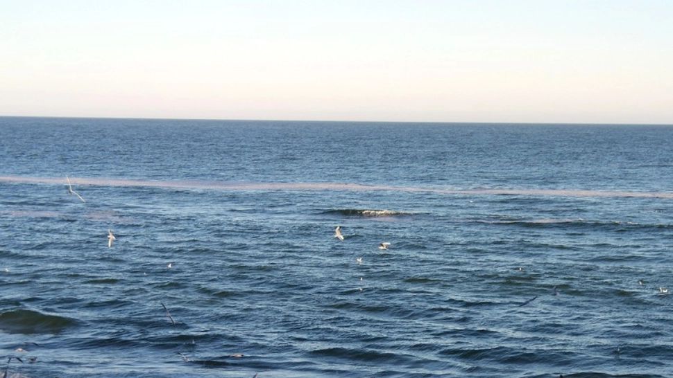 Persoane aflate în derivă într-o barcă pneumatică la aproximativ 1,5 km de țărm între 2 Mai și Vama Veche. Intervenție de urgență