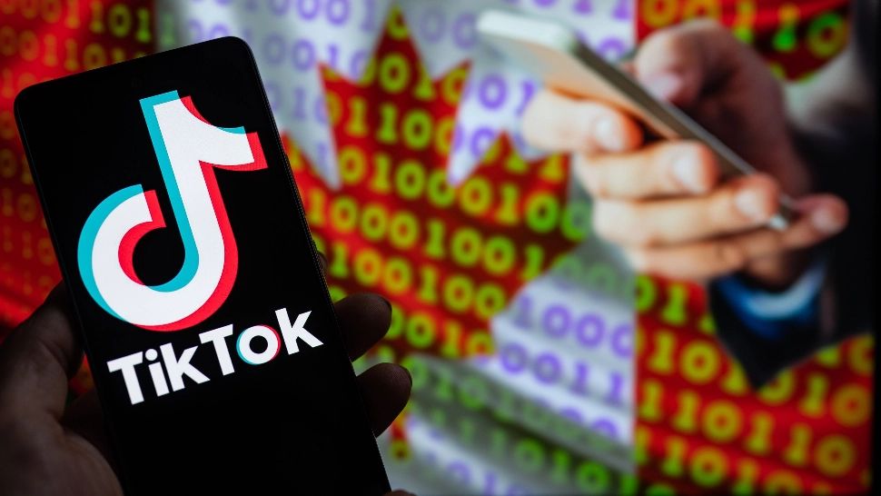 Noi funcții parentale în aplicația Tik Tok. Foto/Profimedia