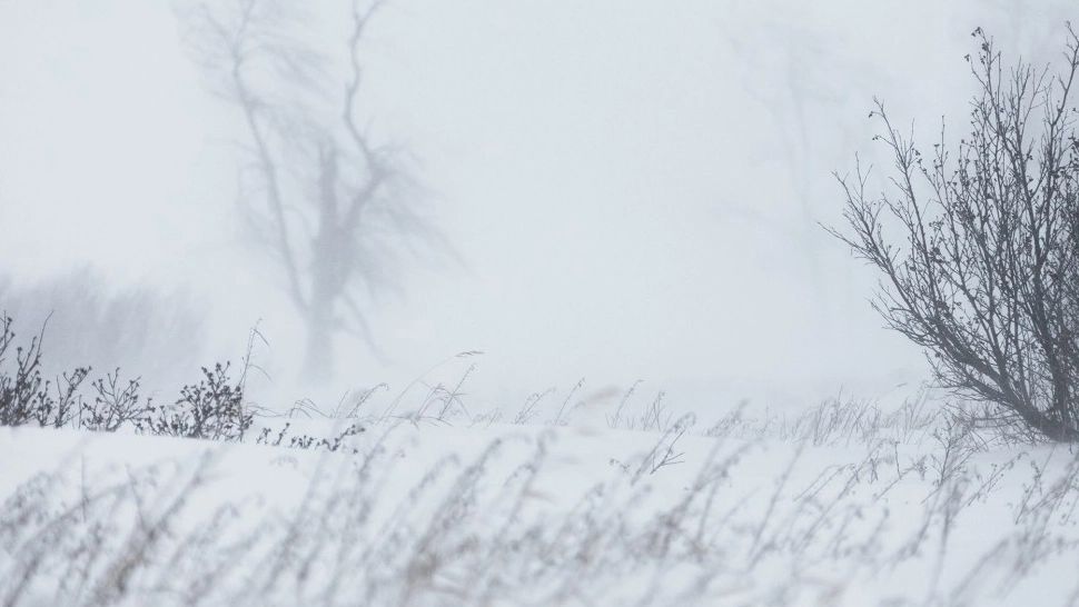 Alertă meteo: Cod roșu de ninsori și viscol în 4 județe - Toate localitățile și drumurile naționale vizate