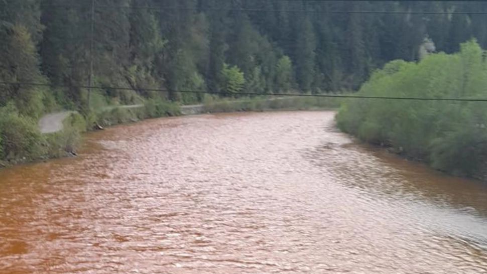 AMENDĂ de peste 90 de mii de lei după poluarea masivă pe râul Bistrița: Vinovatul - o firmă de stat - CÂND pot folosi oamenii APA