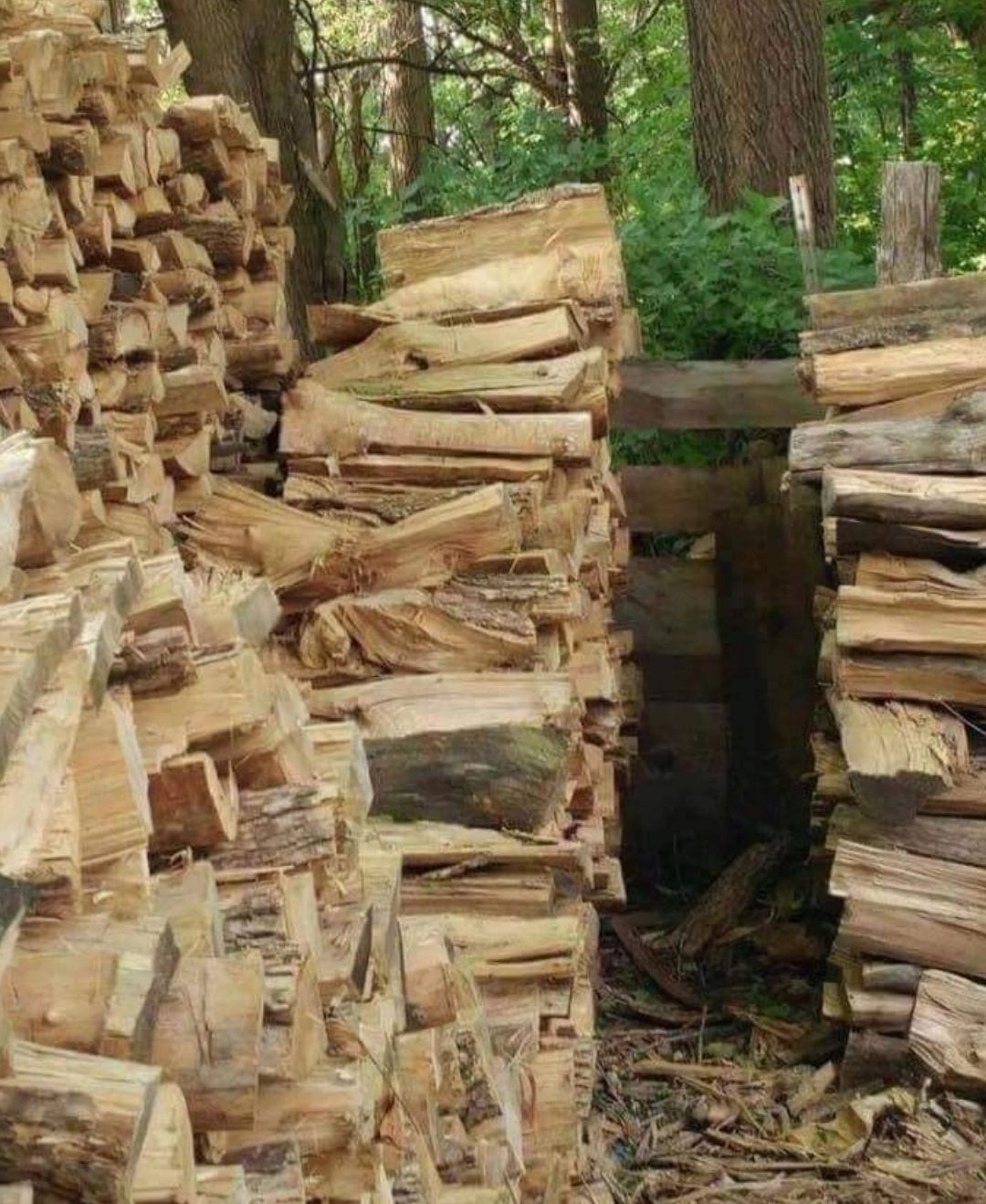 Lemnele de foc au ajuns să coste o AVERE! Cum se pregătesc românii pentru iarnă