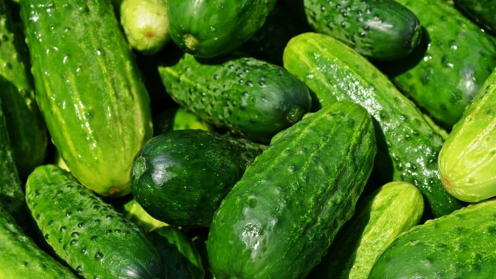 Un nou episod din scandalul „legume otrăvite”! Pericol uriaș pentru români - ce arată analizele pentru castraveții de Buzău 