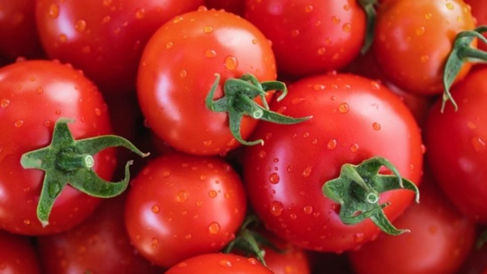 Incredibil cu ce stropesc fermierii legumele vândute în supermarket ca 