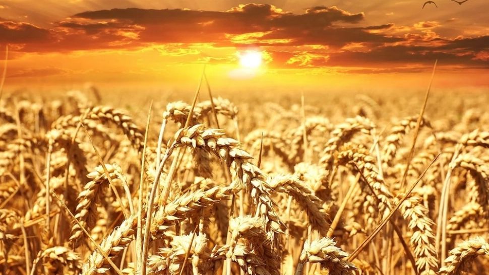 România, traversată de un val de aer tropical: temperaturi de până la 35 de grade! Când revin furtunile violente