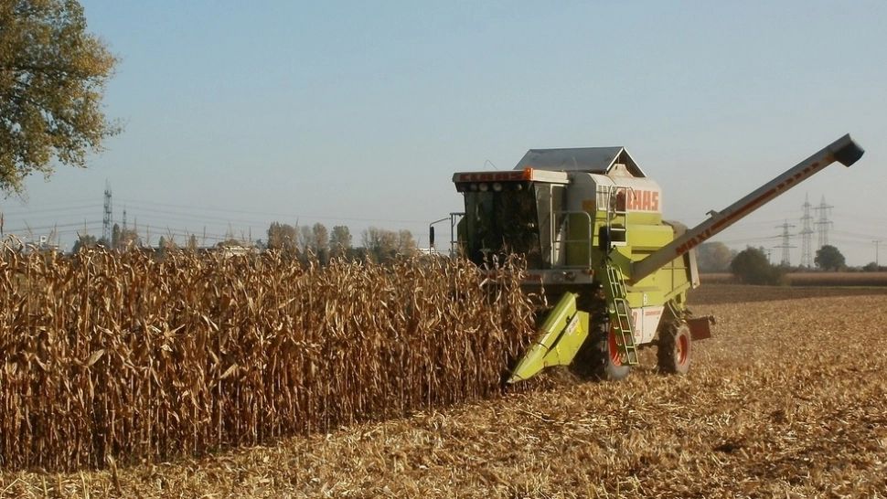 Agricultura duce lipsă de oameni buni de muncă. Foto/Profimedia