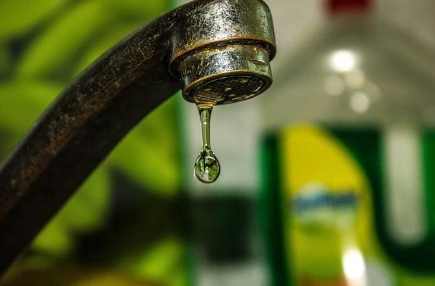 Românii care folosesc apa de la robinet pentru a uda în grădină, pasibili de AMENDĂis consumul