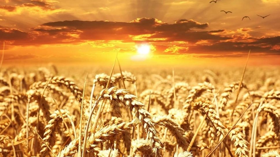 Temperaturi de peste 40 de grade în România. Prognoza meteo pentru București