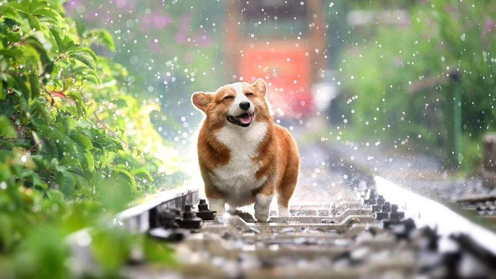 Vremea va fi instabilă, iar ploile vor afecta majoritatea regiunilor țării