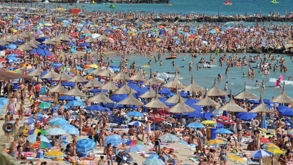Dezastru găsit de ANPC pe litoral. Foto: Profimedia