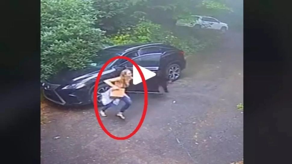 Imagini virale