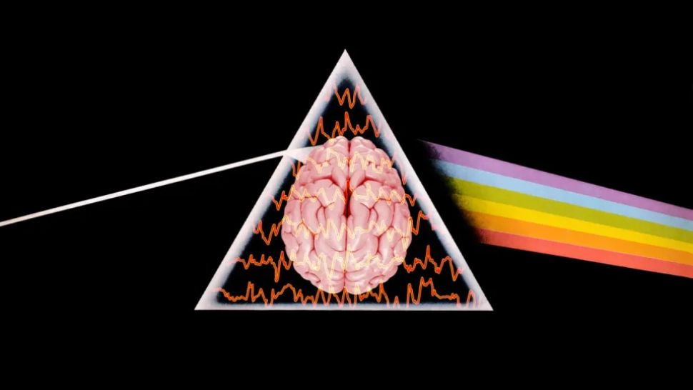 Melodia Pink Floyd care respinge "controlul gândurilor", refăcută prin scanarea activității creierului - AUDIO