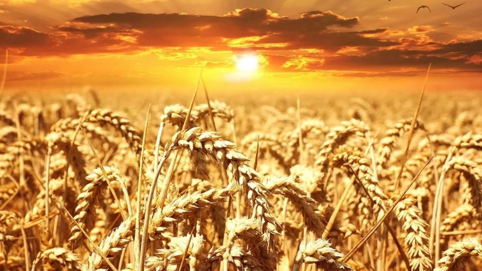 Vremea 25 iunie. Canicula își face simțită prezenta și astăzi. Zonele în care valul de căldură se va resimți cel mai tare