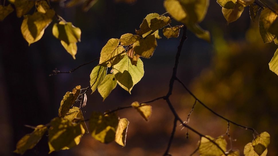 Vremea din Capitală, după codurile anunțate de ANM/ Foto: unsplash.com