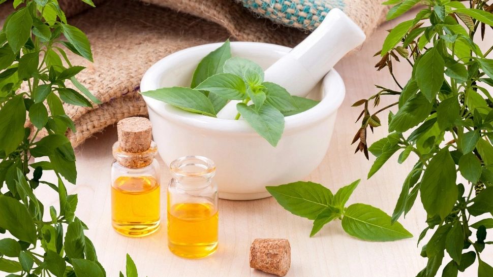 Plantele care se pot transforma din leac minune în adevărată otravă