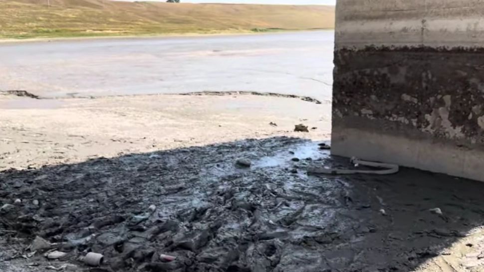 Un iaz a secat din cauza caniculei în județul Suceava. Foto: Captură YouTube