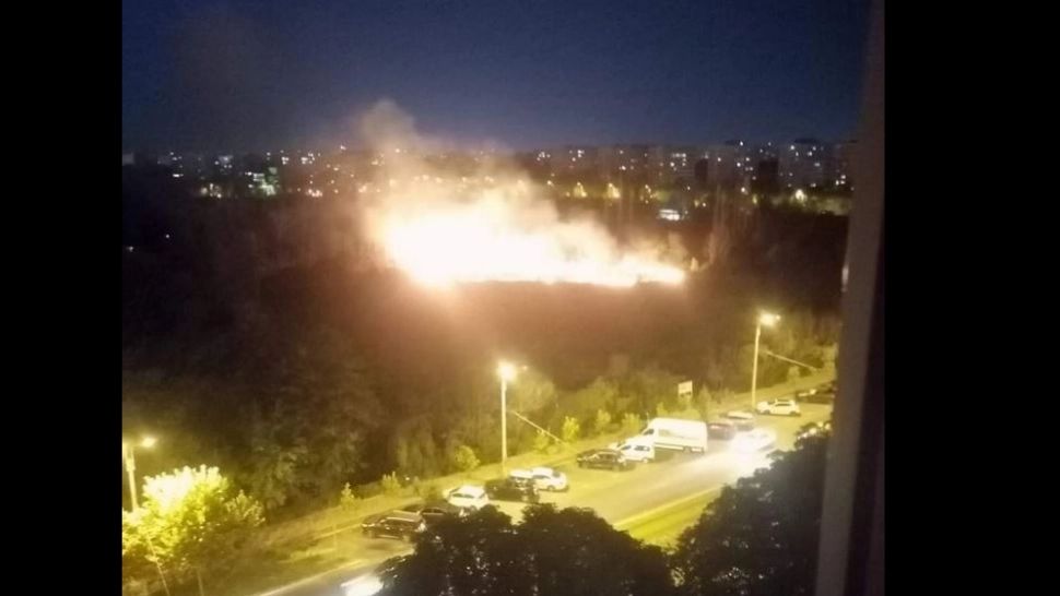 Al 14-lea incendiu într-un singur an, în Parcul IOR. Foto/Captură video