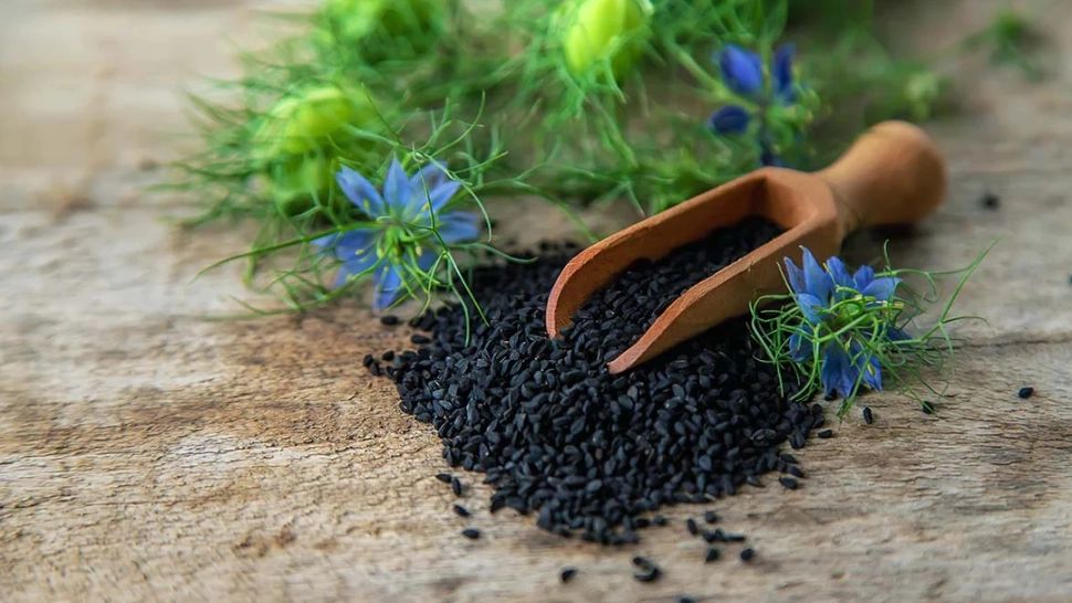 Planta minune care poate distruge cancerul: Este amintită în Cărțile Sfinte și are beneficii uriașe asupra sănătății - În ce boli se folosește