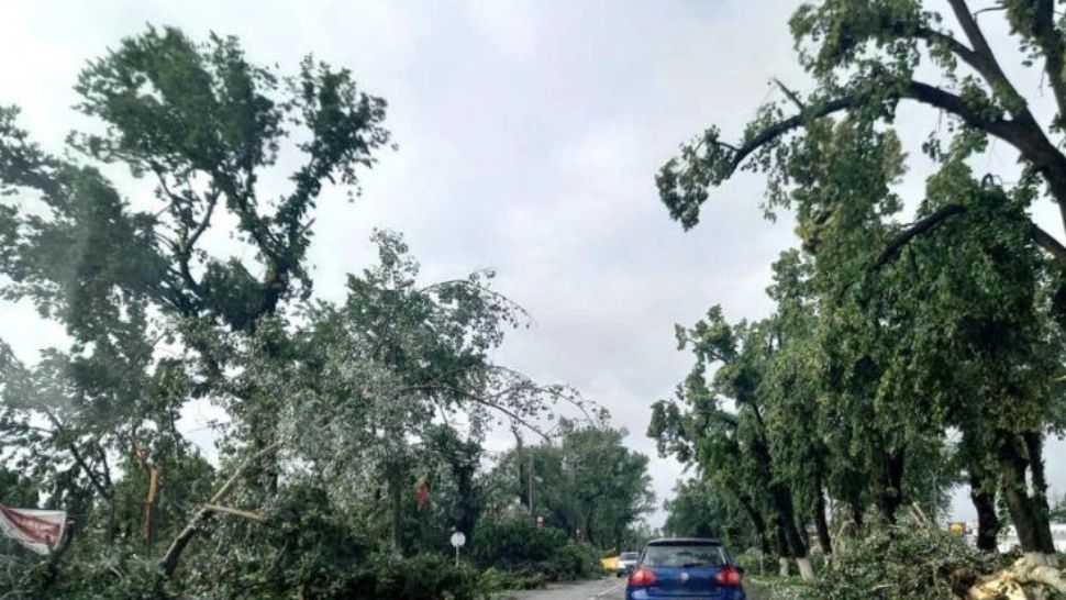 Circulație blocată de fenomene meteo extreme în județele Harghita și Mureș: Vijelii cu rafale de peste 90km/oră după caniculă