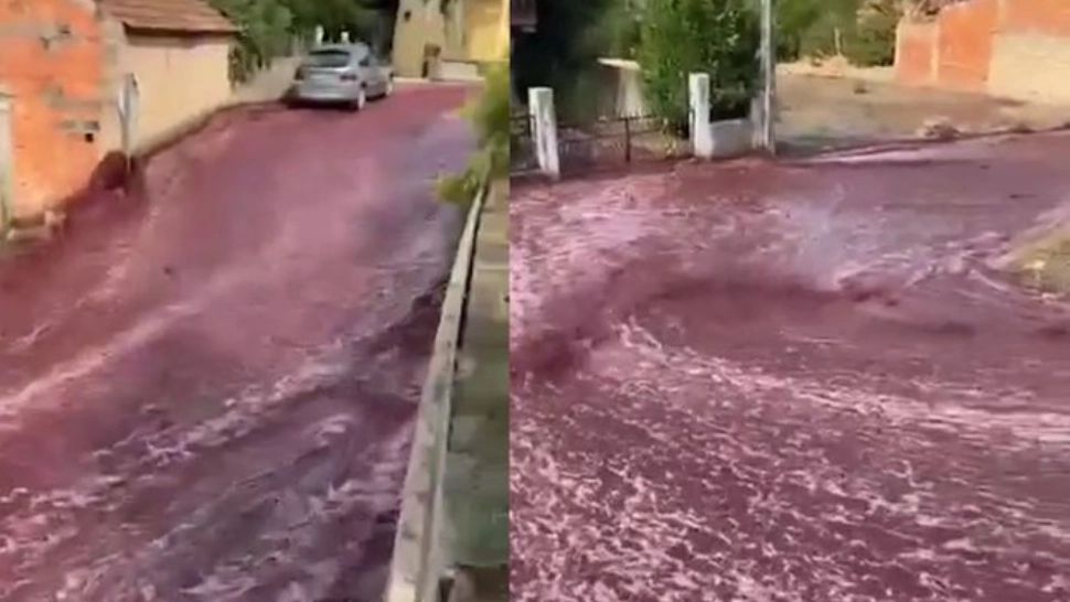 Incident incredibil în Portugalia: Un oraș a fost inundat de vin roșu - Momentul în care peste 2 milioane de litri se revarsă pe străzi - VIDEO