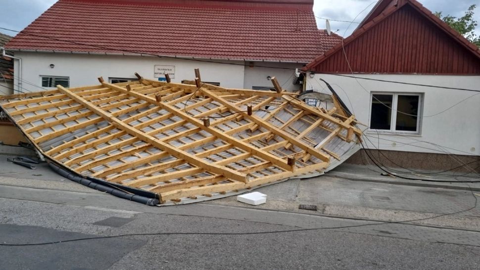 Cod portocaliu de vreme rea
