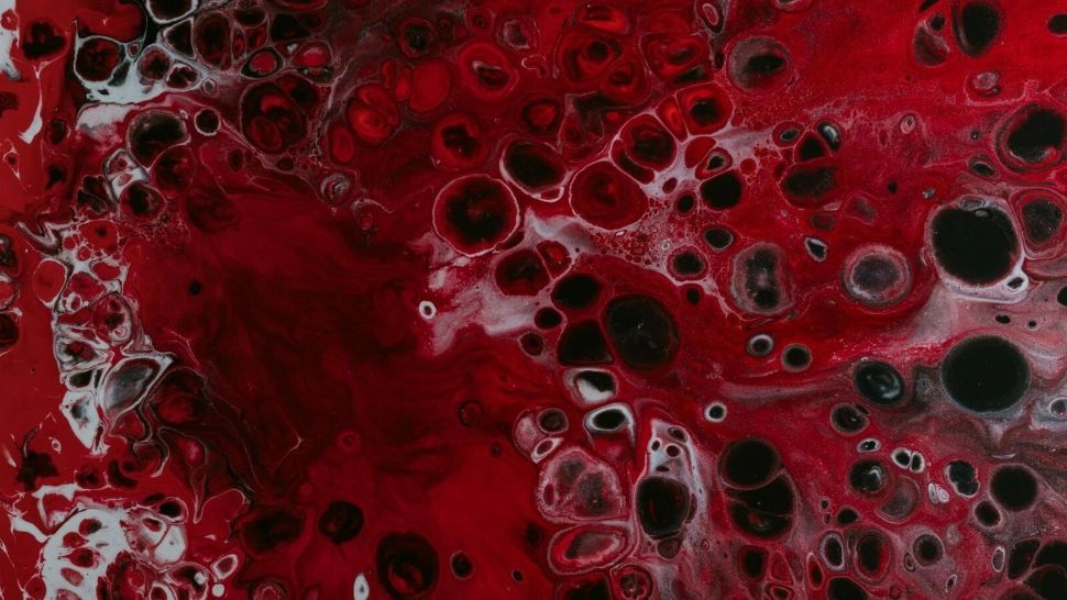 Două remedii naturale pentru a curăța rapid sângele - Cum scapi de toxinele care îți aduc boli grave