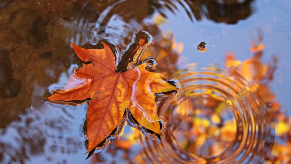 Vreme mai caldă decât în mod obișnuit, dar cu variații ale precipitațiilor: prognoza ANM până pe 8 decembrie