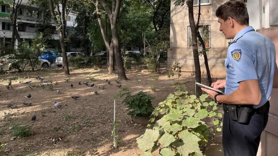 Hrănirea porumbeilor va fi interzisă într-un sector Bucureşti. Foto: Facebook/Primaria Sectorului 6