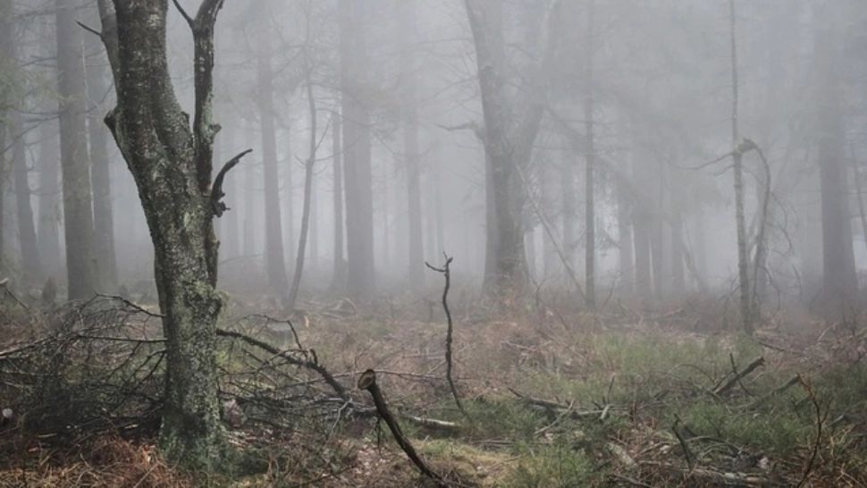 Alertă meteo: Cod galben de fenomene periculoase. HARTA cu cele mai afectate zone