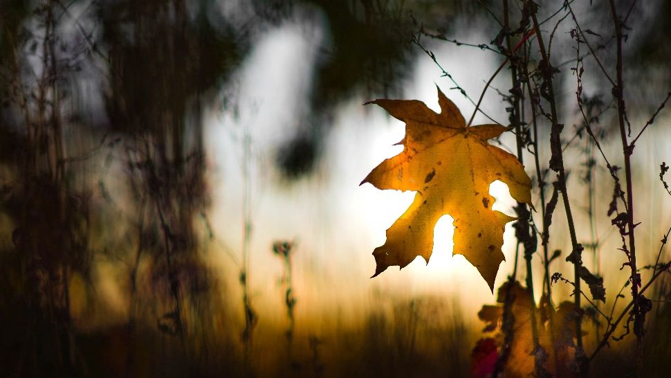 Vreme deosebit de caldă duminică, în Capitală. Cu va arăta ziua de luni - Prognoza ANM/ unsplash.com