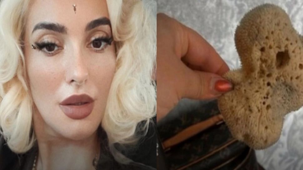 Ana Morodan a plătit 150 de euro pentru un burete care a ajuns să fie folosit la spălarea vasului de toaletă