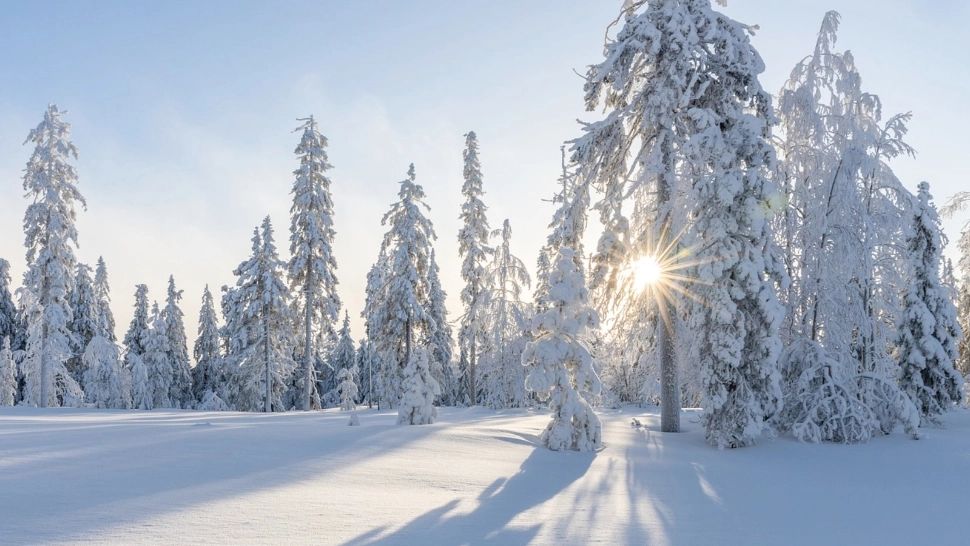 ANM anunță când vin zăpezile în România: luna în care va ninge "mai mult ca de obicei"