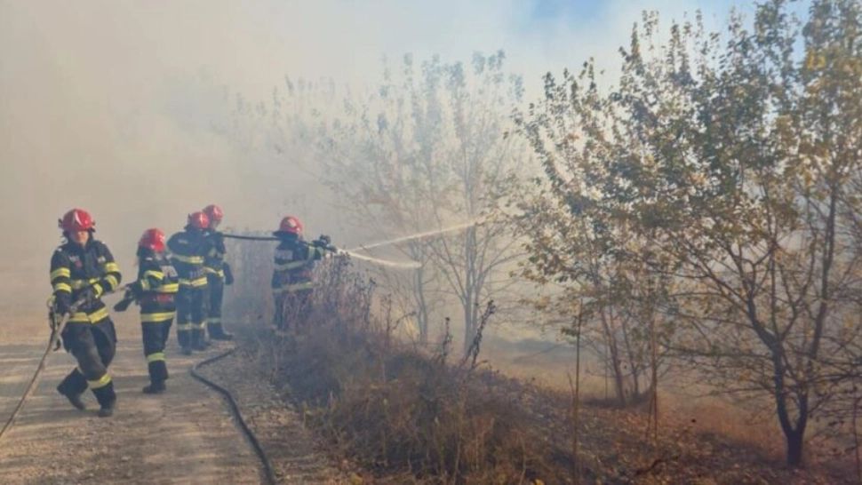 Incendiu în pădurea de pe raza comunei Plauru, Tulcea. Foto/ISU Tulcea