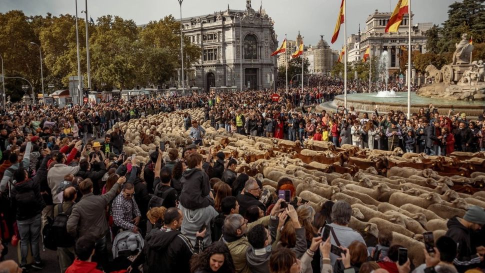 Străzi Madrid/ Profimedia
