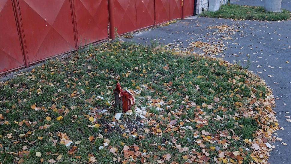 Un sibian a tăiat teiul din fața casei sale și s-a ales cu o amendă usturătoare. Foto: Turnul Sfatului