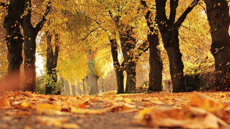Prognoza meteo pe o lună