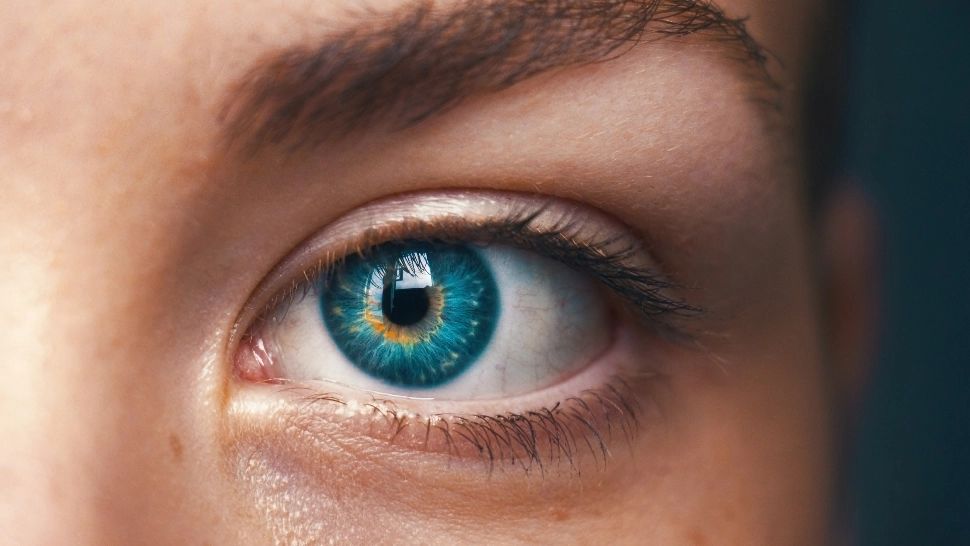 Descoperă intrusul din imagine! Este una dintre cele mai tari iluzii optice ale momentului /unsplash.com