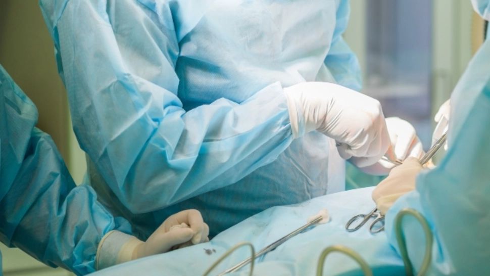 Poliția a identificat cel puțin 20 de victime ale falsei doctorițe. Foto/Profimedia